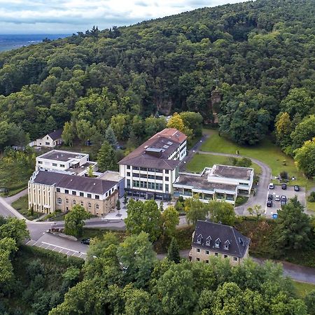 Kloster Neustadt Нойштадт-ан-дер-Вайнштрасе Екстер'єр фото