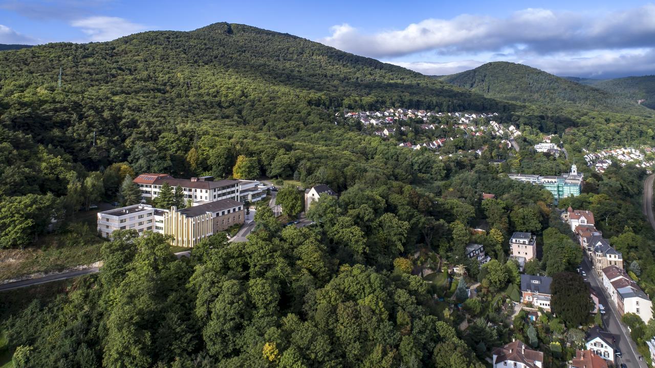 Kloster Neustadt Нойштадт-ан-дер-Вайнштрасе Екстер'єр фото