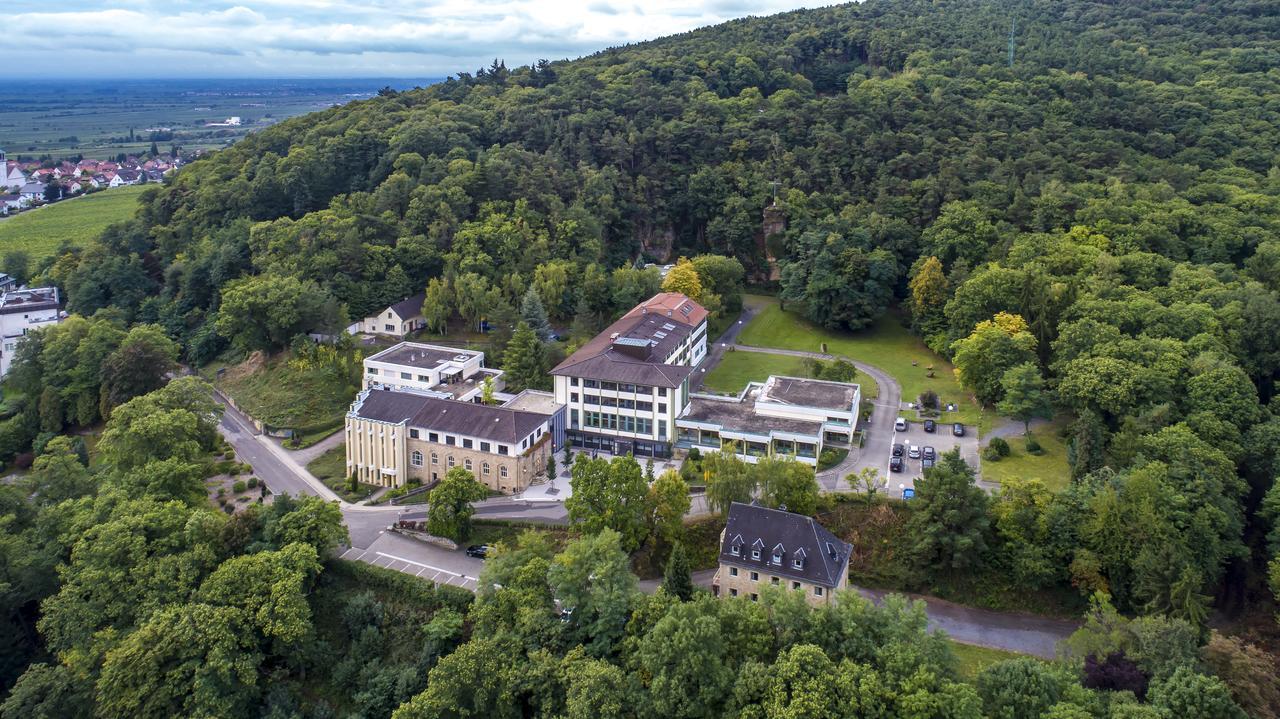 Kloster Neustadt Нойштадт-ан-дер-Вайнштрасе Екстер'єр фото